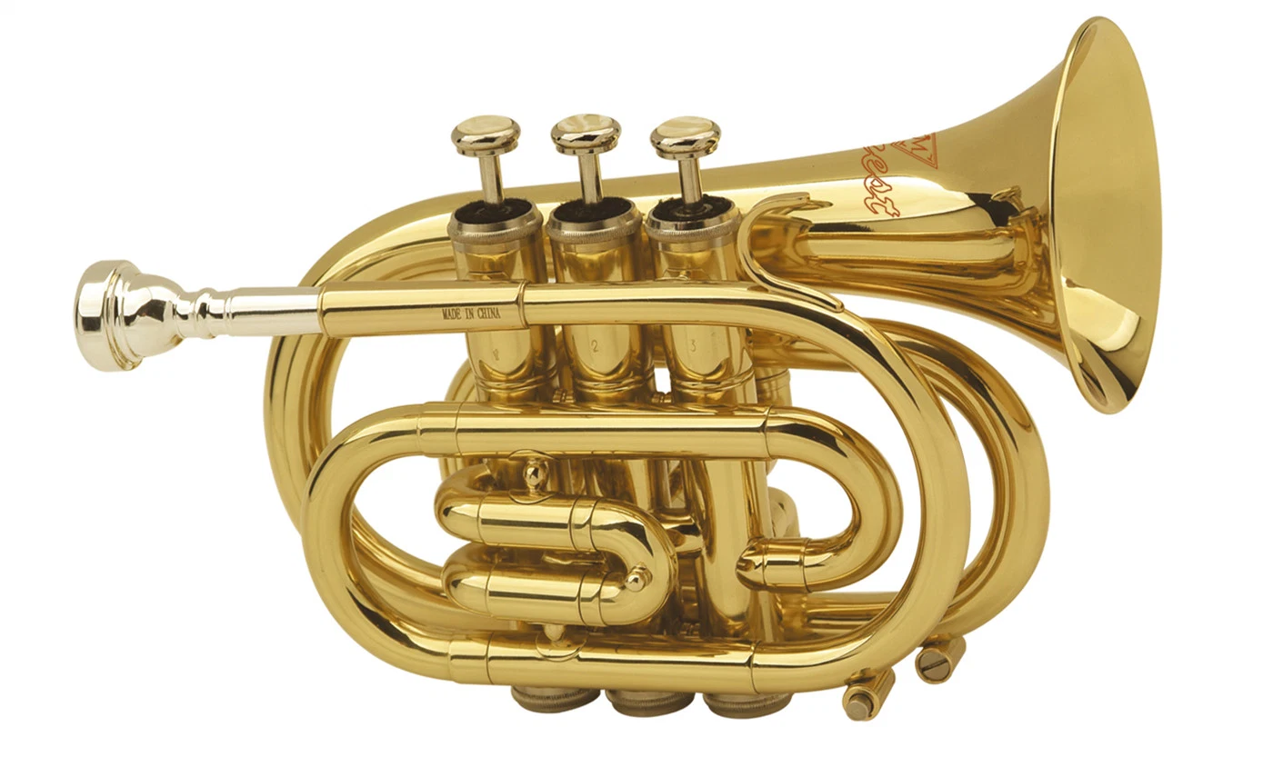 Golden Lacquered Bb Key Pocket Trumpet/Mini Trumpet