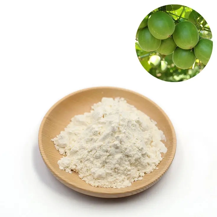 Moine de haute pureté biologique Extrait de fruits léger goût de qualité alimentaire à base de plantes Fine poudre poudre Sweet moine Extrait de fruits