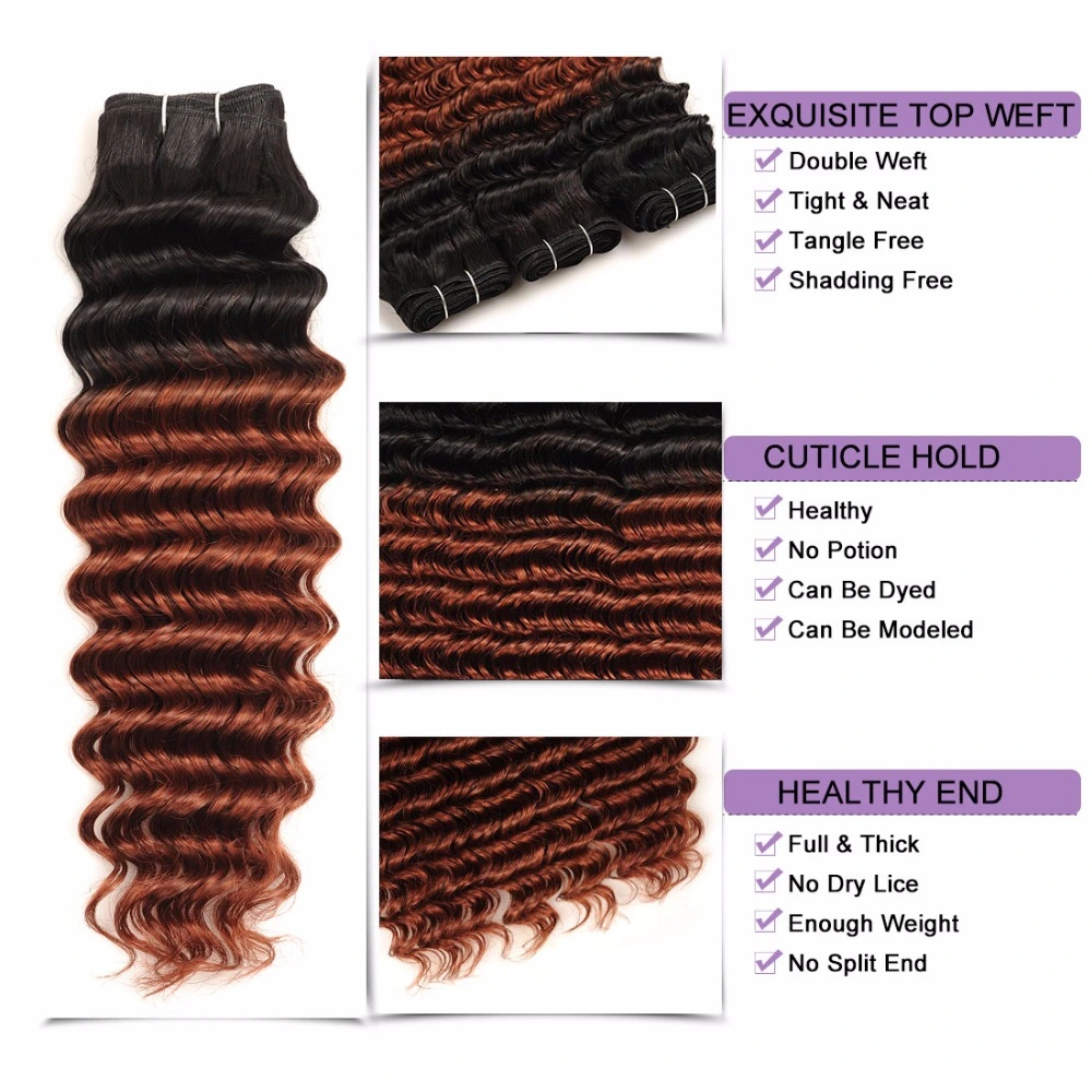 Ombre Brazilian Deep Wave 3 Bundles with Closure 1b 33 Human Hair Weave with Closure Shine Silk Non Remy Two Tone Dark Brown