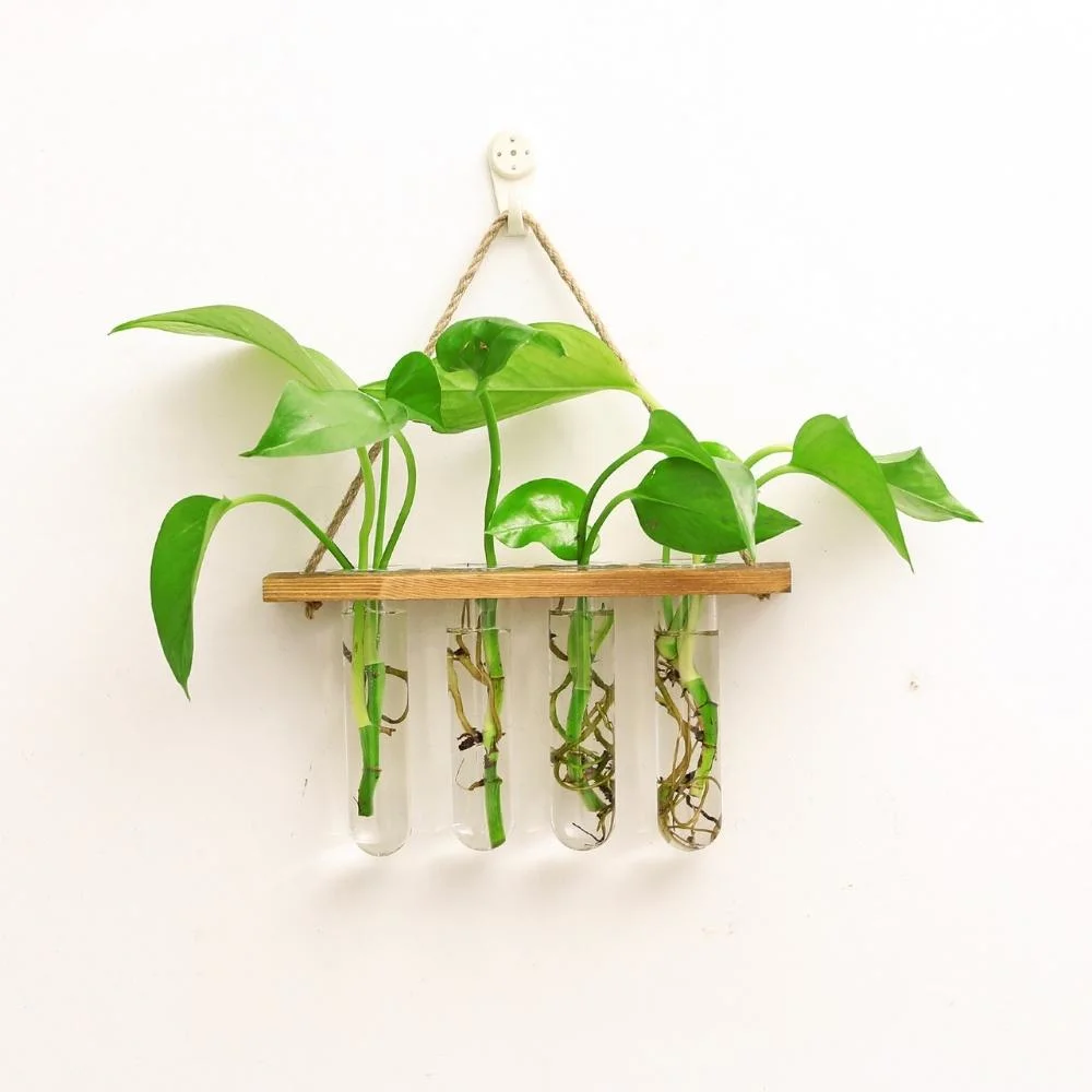 Suporte de parede para vasos de flores criativos Planterer de vidro Home Rack Suporte de mesa Terrariums Tube, tampo de mesa, madeira Hydroponics vaso Wyz22081