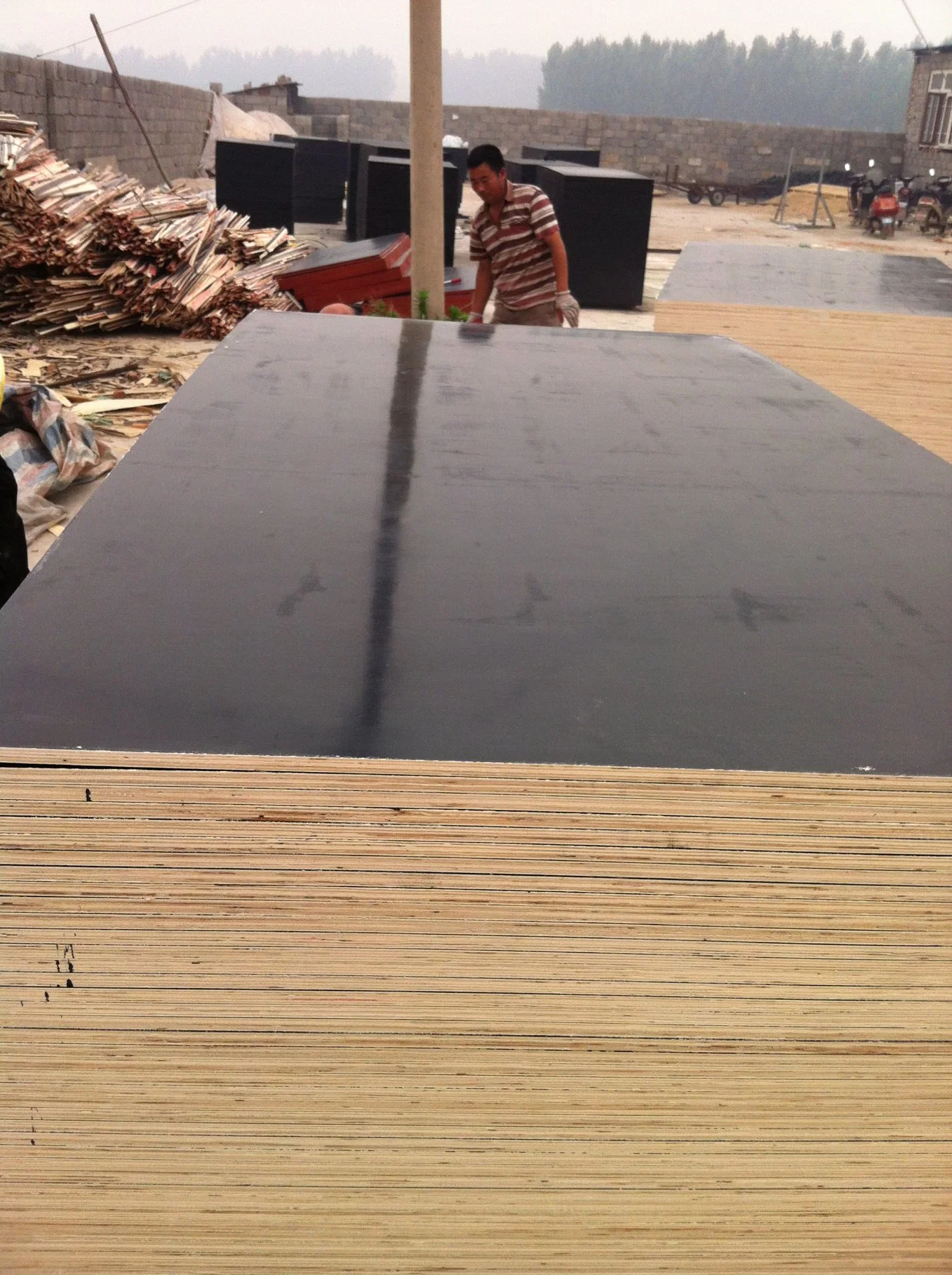 Brown/ Black/ Green/ Red Film Faced Plywood for Construction