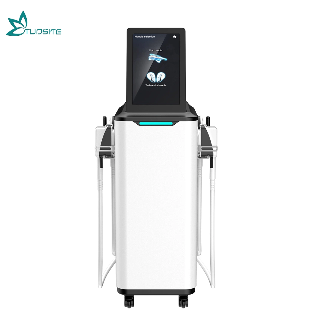 Vertical 2 in 1 Hi-EMT Cryotherapy Freeze 4 Handles 360 Degree Freeze Slimming Ice Body Sculpting Slimming Machine