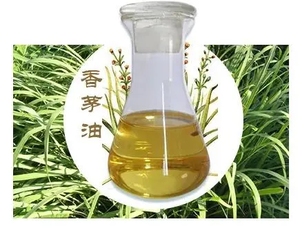 Essence and Fragrance Citronella Oil CAS 8000-29-1