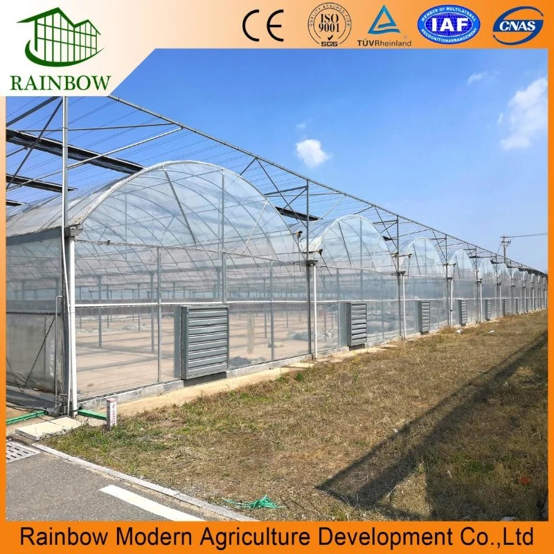 Landwirtschaftliche Multi Span Poly Film Tunnel Gewächshaus mit Hydrokultur Pflanzen System für Tomaten Pfeffer Salat Erdbeere Gemüse Blumen