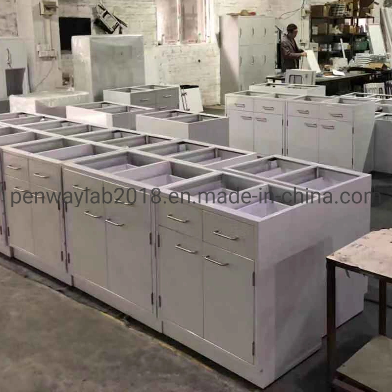 Chemical Storage Cabinet Lab Bench Laboratory Furniture