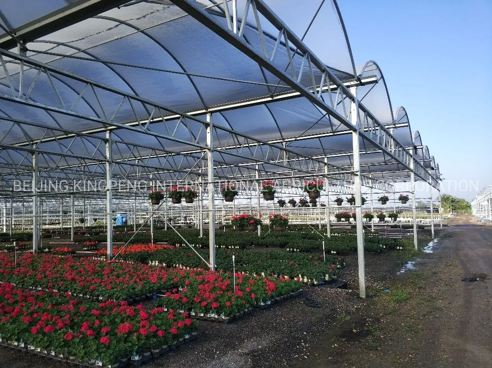 Nursery Flower House with Munal Moveable Bench/Bed and Control System