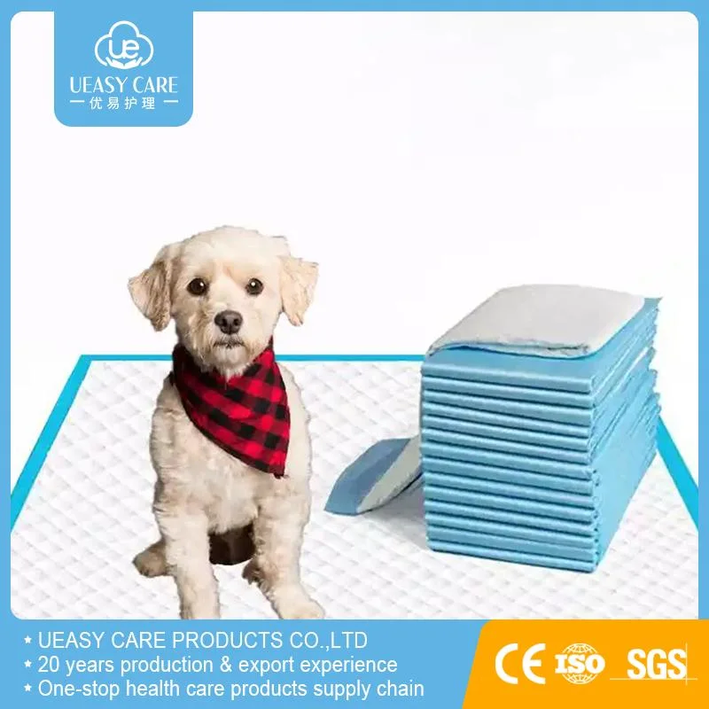 Chien PEE Pad PARA Empadores Perro 60X60 fuite-anti PET entraînement Toilette en pot Puppy Pads pour chiens