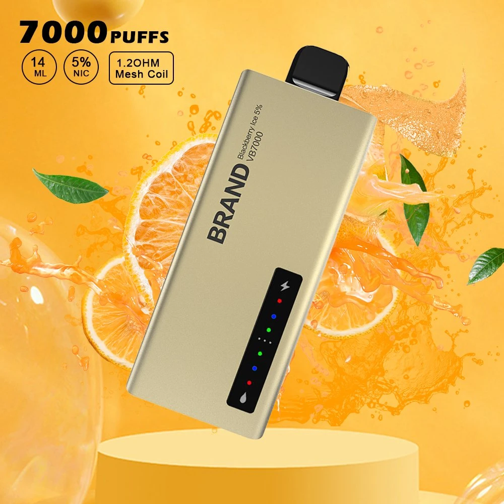 Custom 7000 puffs Torando Portable e-CIG Disposable/Chargeable Electronic Smoking Device Cigarro de vape