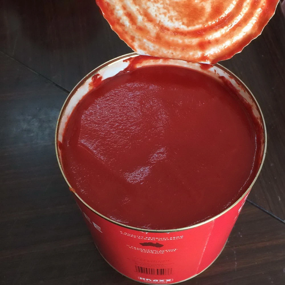 3kg High quality/High cost performance Canned Tomato Ketchup