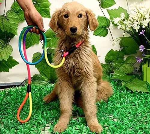 Rainbow Pet Dog Nylon Leash Adjustable Loop Slip Lead Rope
