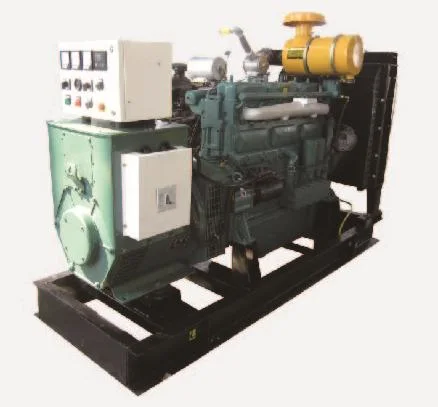 Powered by Ricardo 80kw/100kVA Generating Set 3 Phase 4 Wire