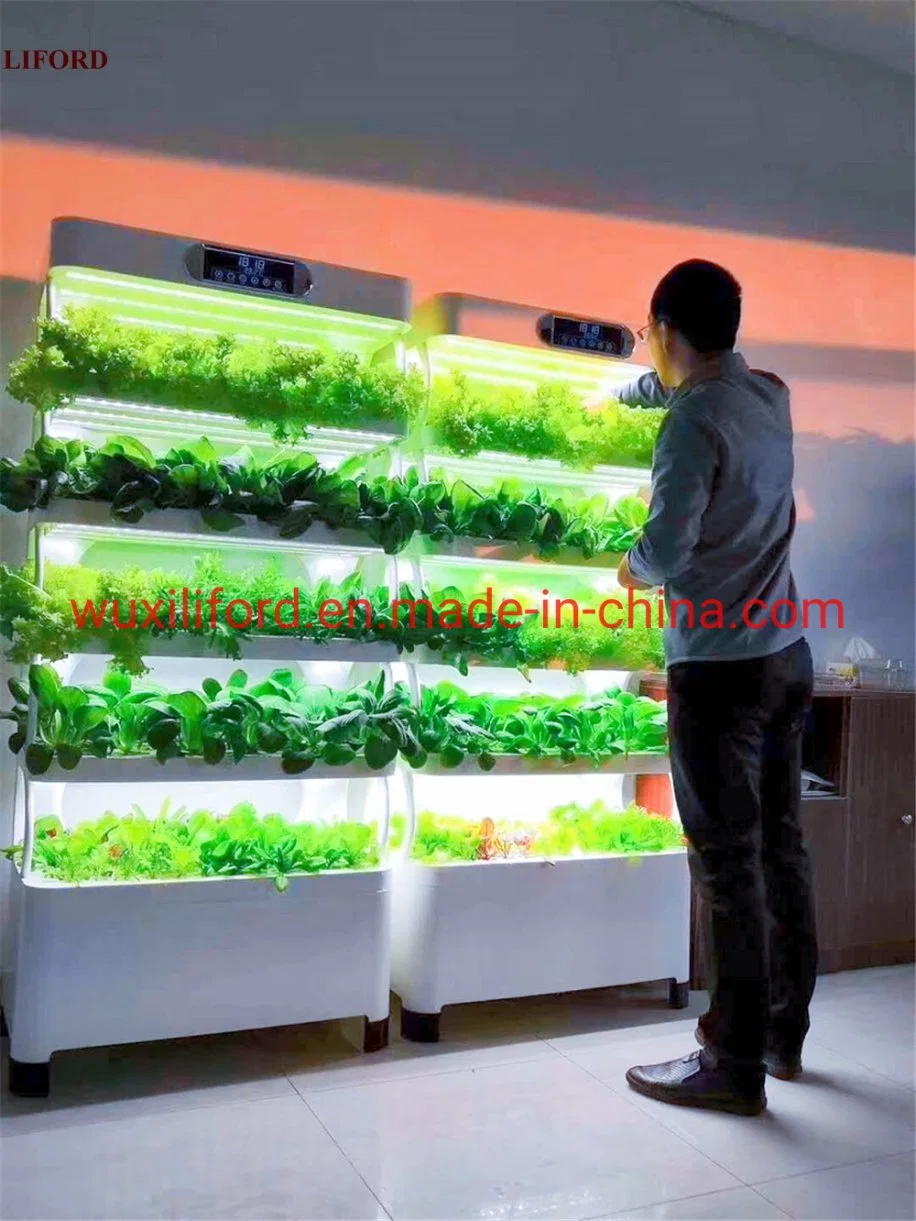 Small Home Complete Vertical Farming LED Lighting Hydroponics Growing System