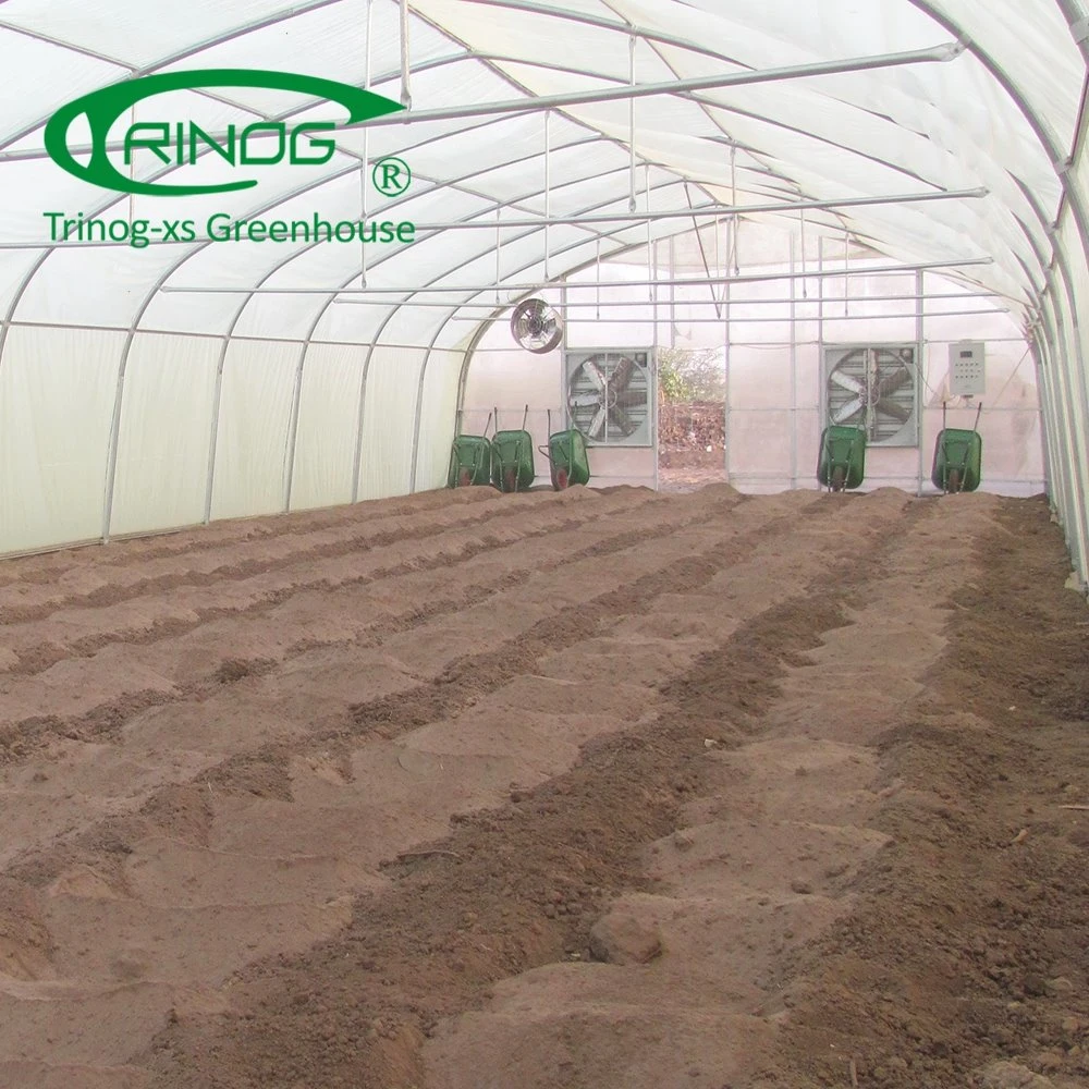 Large Single Span Film Agriculture Greenhouse