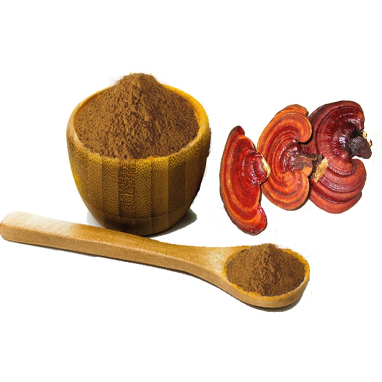 100% Natural Ganoderma Lucidum setas Reishi setas Lingzhi Extracto de setas Polvo Extracto de Reishi polvo para inmunidad