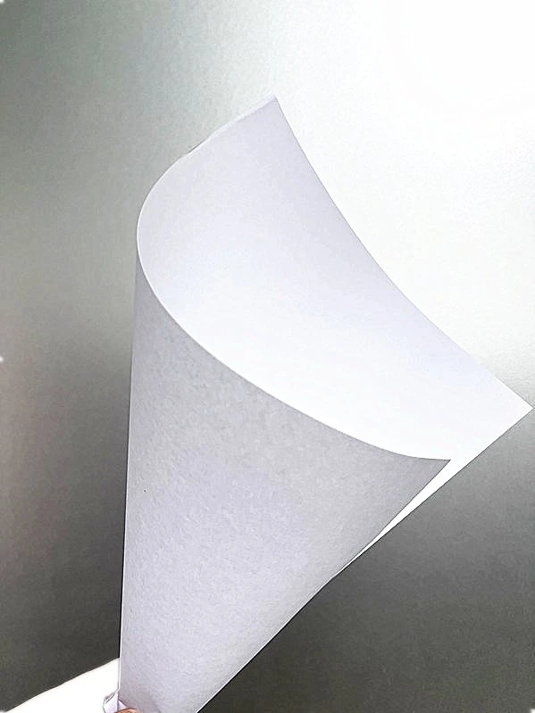 White Woodfree 80g Offset Paper for Printing Book