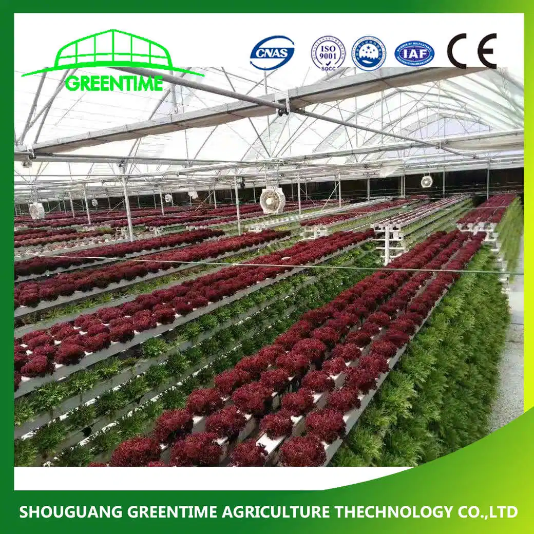 Industrial Vertical Type Complete Hydroponics Growing System for Soiless Agriculture Vegetable