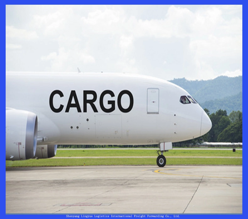 Cheaper Air Freight Forwarder From China to The Mex