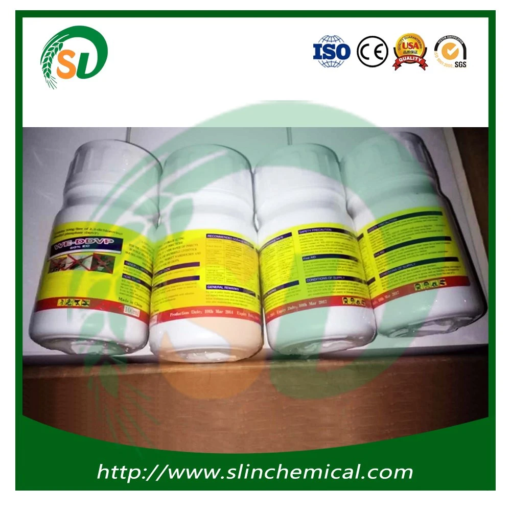 Effective Insect Killer Pesticide Dichlorvos Ddvp 98%Tc 95%Tc 100%Ec 80%Ec 50%Ec 80%Wp 50%Sc