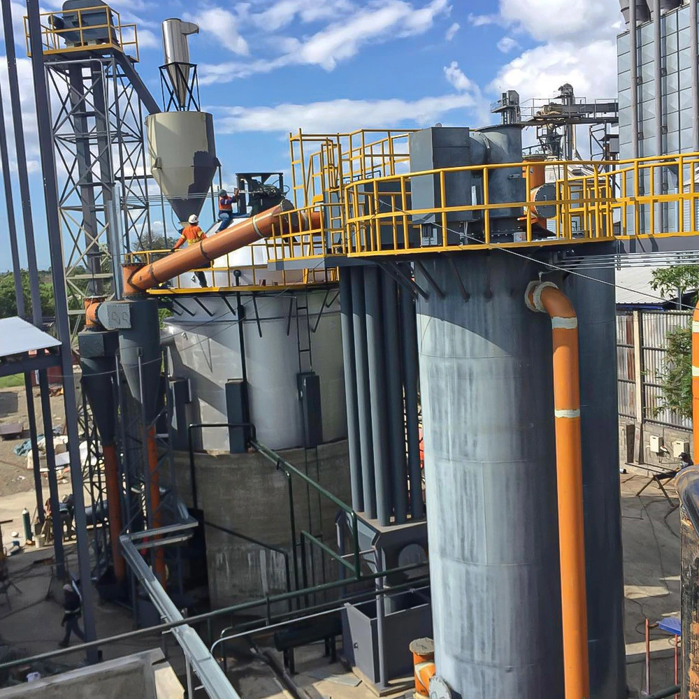 EPC Contractor for Biomass Power Generation in Coal-Fired Power Plants
