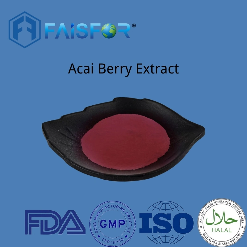 Fruit Extract Food Additive Acai Berry Extract Powder