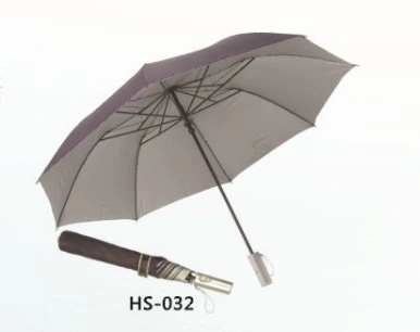 Auto Open 2 Fold Golf Umbrella (HS-032)