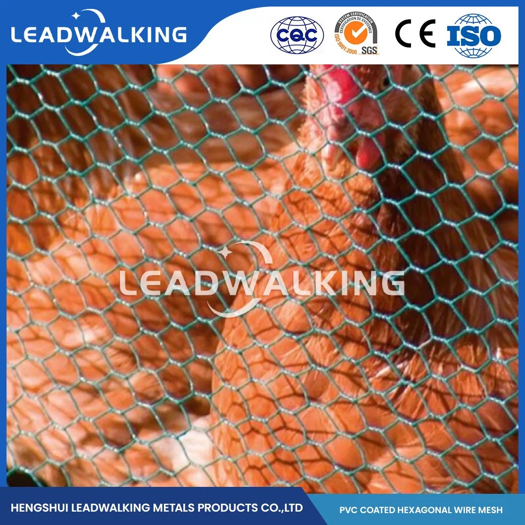 Material do fio de PVC Leadwalking metal revestido de PVC em tecido de malha de fábrica na China a malha de 1/2 polegada Hexagonal DIP Net