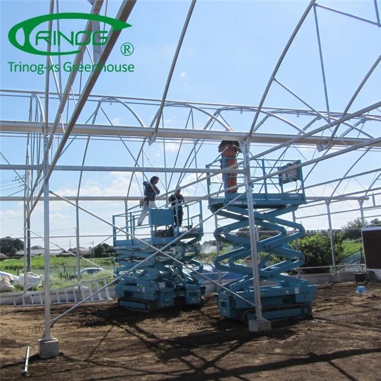 Agricultural Multi-Span Film Greenhouse with Quick Construction