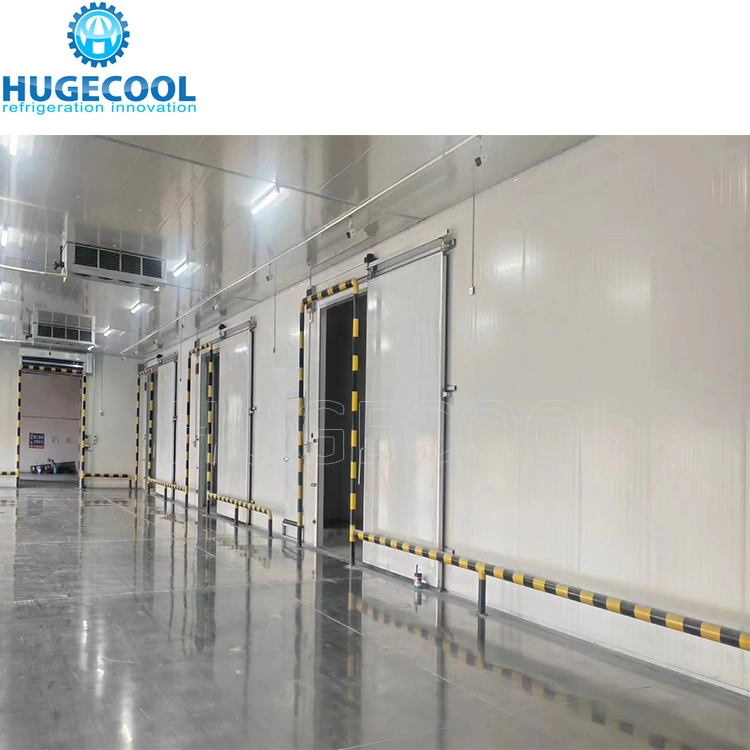 Commercial 5*5*3 Chiller/Cooler/Cold Storage Room with Refrigeration Equipments