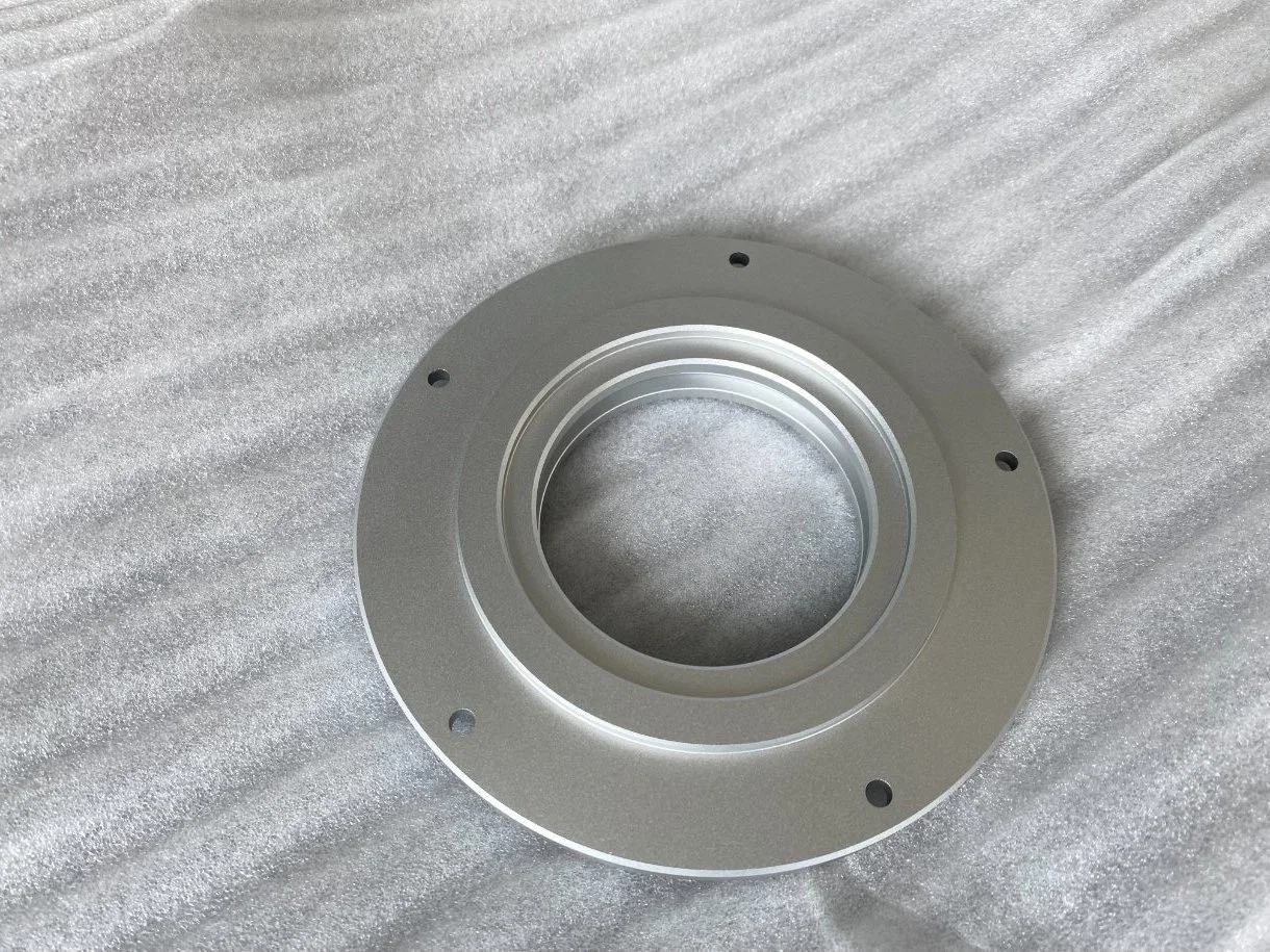 China Customized Casting Aluminum Flange