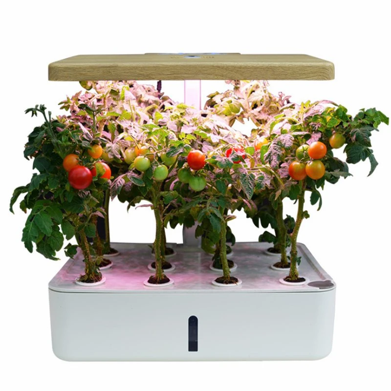 Indoor Garden Mini Hydroponic Growing System with LED Light