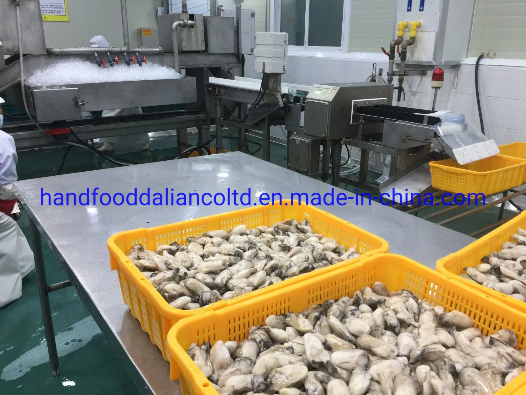 Super Quality Seafood of Frozen Raw Oyster Meats