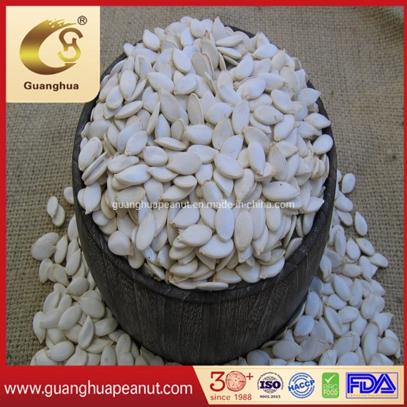 Export Standard Shine Skin Pumpkin Seeds Crop 2022