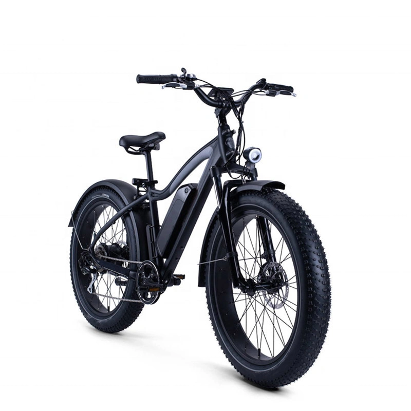Hot Selling Foldable Adult E-Bike, Two-Wheel Mobility Bike