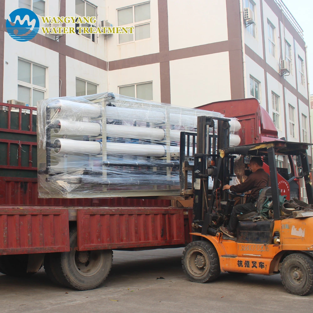 RO Pure Water Desalination Series Equipment 1-1000 Tons Per Day