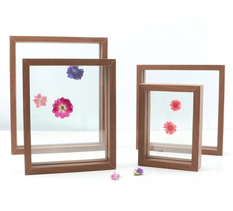 DIY Herbarium Specimen Photos Plastic Frame