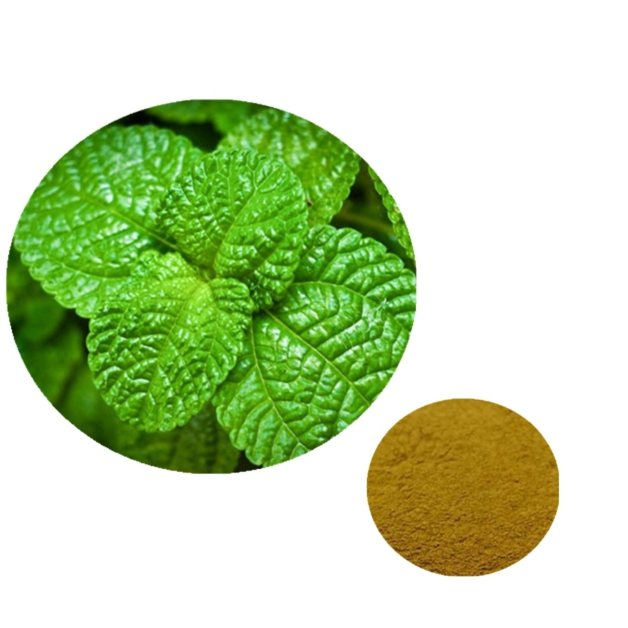 فقدان الوزن Citrus aurantium Extract Syneperline Powder/aurantium Extract Hessperidin Powder مستخرج حمضيات من الأدوية 98%