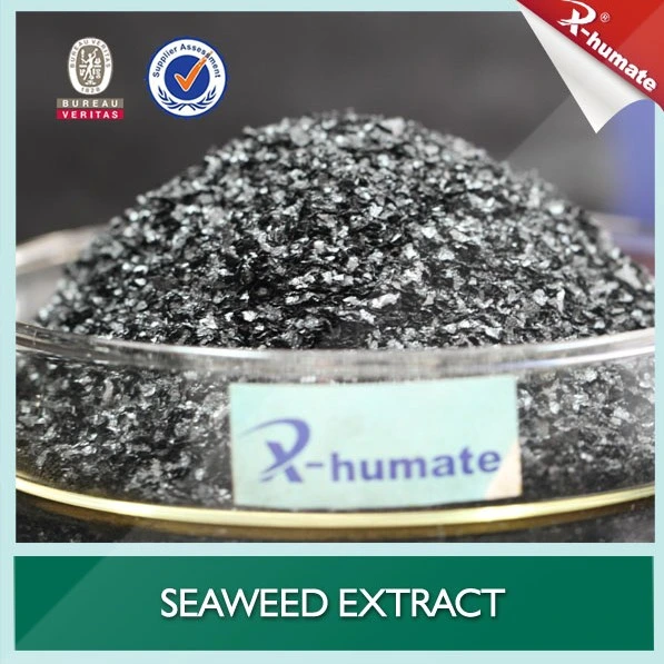 100% Water Soluble Seaweed Extract Powder Fertilizer