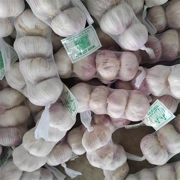 China/Chinese 4p Pure White Garlic Fresh Natural Garlic Price - New Crop Red Garlic Current Price