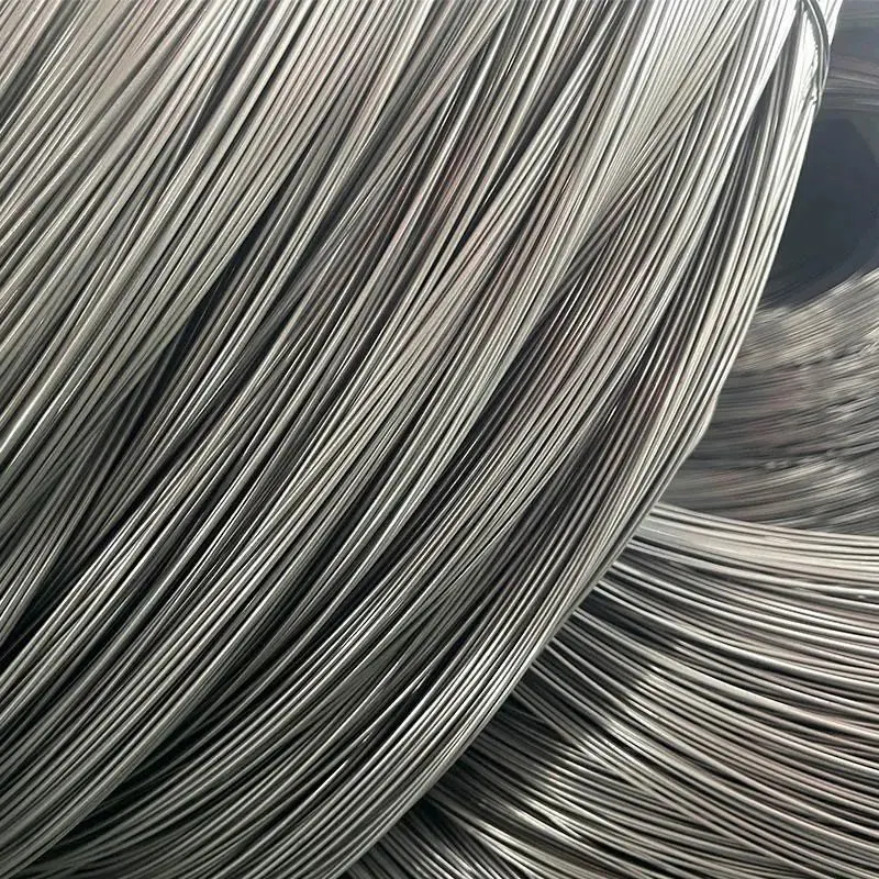 Customized High-Speed High Strength Quality Low Price Smooth Stainless Steel Galvanized Iron Wire Steel Wire Stainless Steel Wire