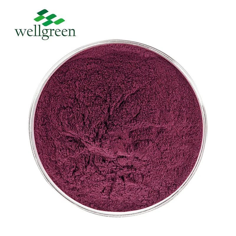 100% Pure Freeze Dried Black Berry Anthocyanin Juice Indian Instant Fruit Blackberry Powder