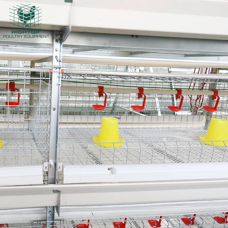 Hot Sale H Type Growing Broiler Chicken Cage for Automatic Broiler Equipment