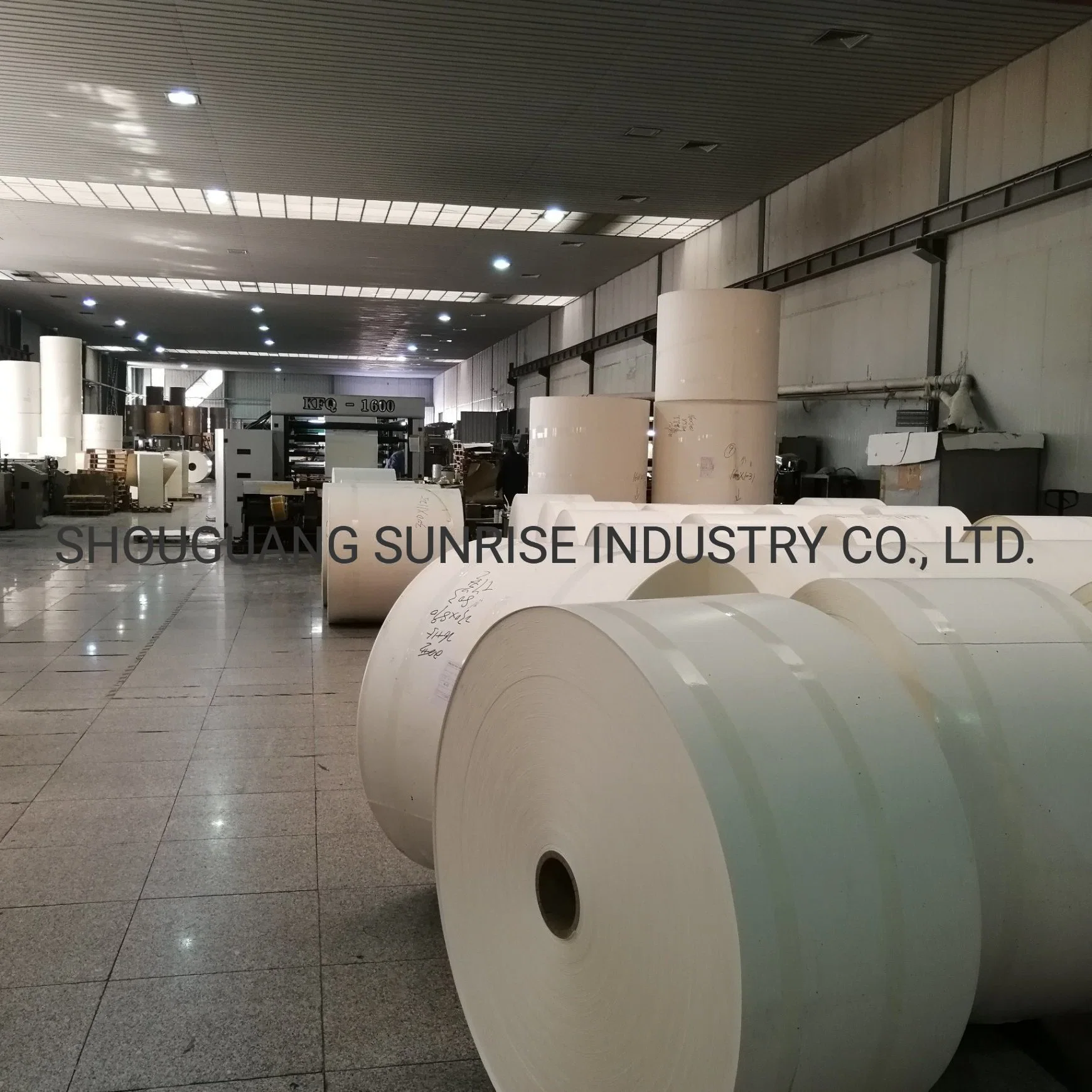 APP/Sun/5 Star Brand 150-300g PE Coated Paper Cupstock Paper for Hot Drinking