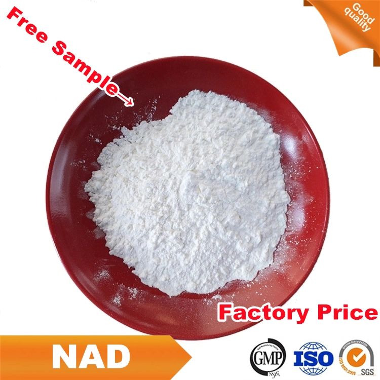 Free Sample 99% Powder Beta-Nicotinamide Adenine Dinucleotide (NAD) CAS 53-84-9