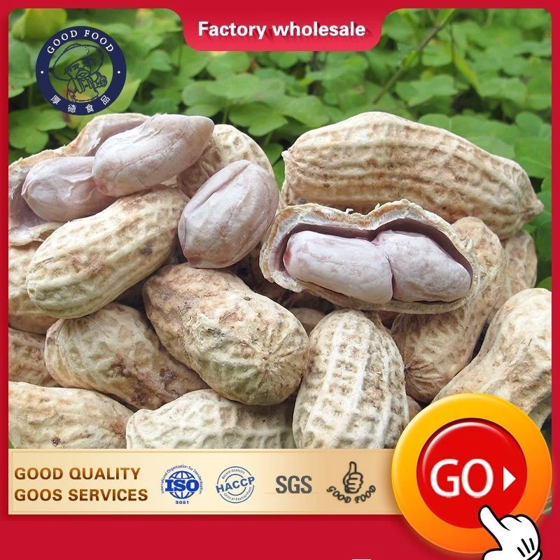 Craftsmanship New Crop Salted Taste Roasted Peanut in Shell Healthy Delicous Salted