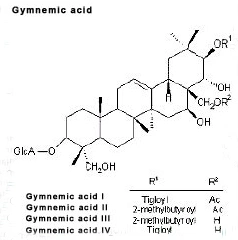 75% Gymnemic Acid Gymnema Extract for Lowering Blood Sugar