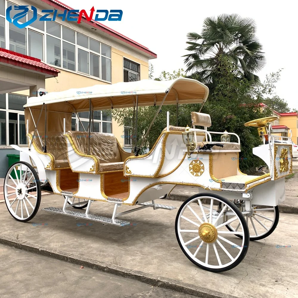 Sightseeing Tourist with Canopy High quality/High cost performance  Horse Carriage