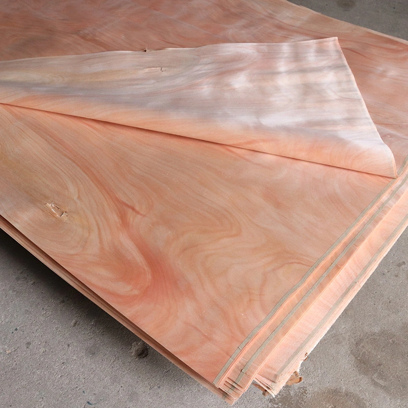 Beautiful 0.1mm Natural Color Veneer Wood