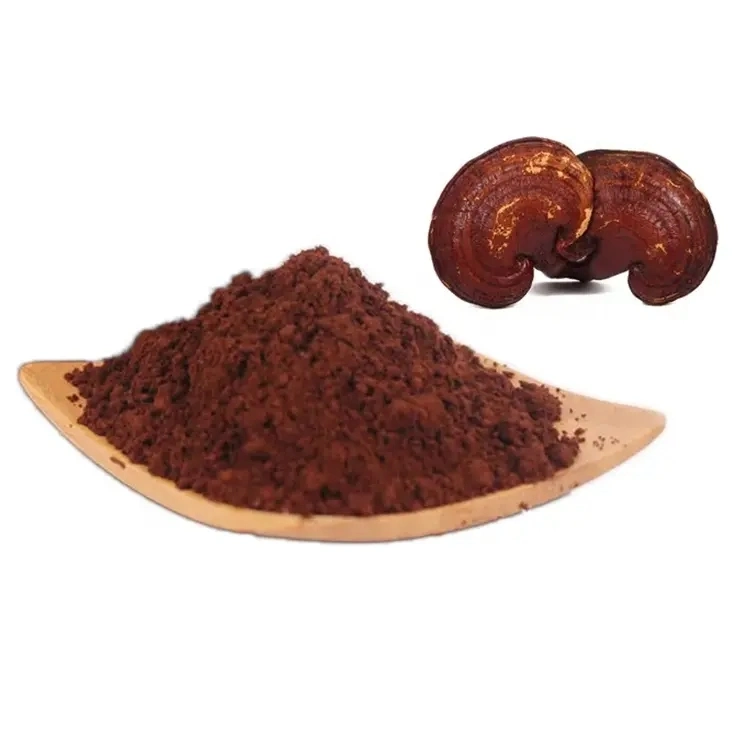 Aceite de esporas Reishi de alta pureza/cápsula de Lingzhi/Ganoderma Lucidum aceite de esporas Softgel