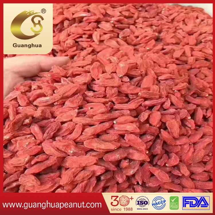 Grade AAA Best Quality Dried Goji Berries New Crop