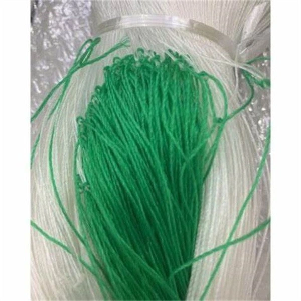 Cheap Plant Support Net Cucumber Plastic R 350' 2*1000meter White Nylon Clumping Soft for Twine Rope Roll Trellis Netting